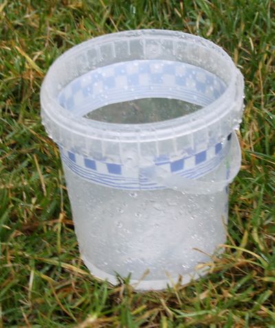 IMG 2373.JPG