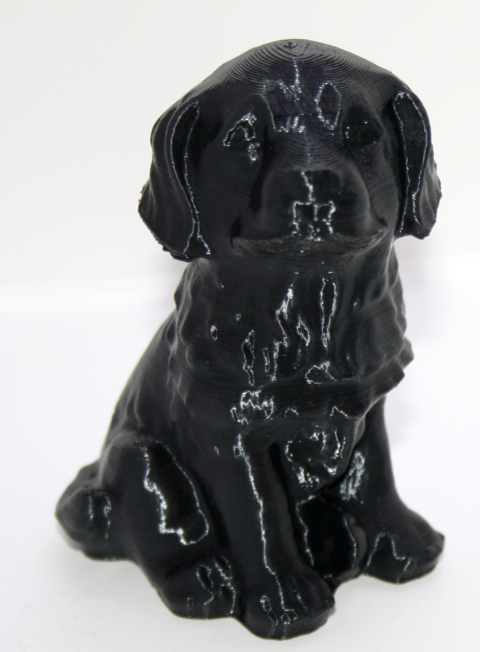 Dog2019-02-19Ok.png